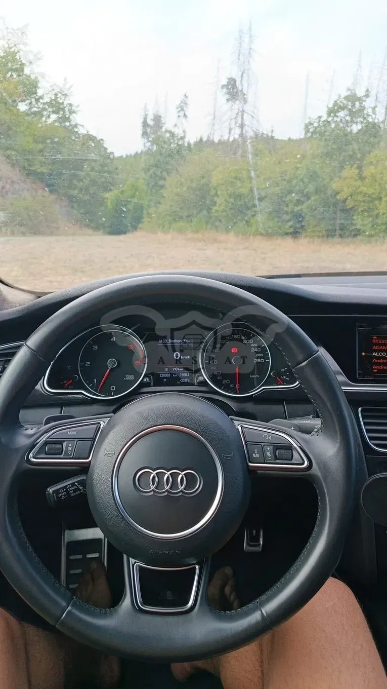 Audi A4 B8 (2007-2015) 3.0 TDI Quattro S tronic 2009