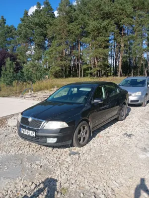 Skoda Octavia II (2004-2013) 1.9 TDI Classic 2007
