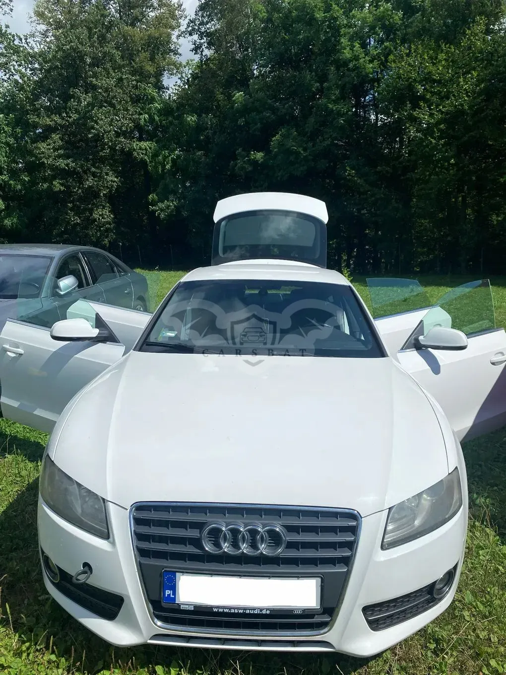 Audi A5 8T (2007-2016) 2.0 TFSI 2011