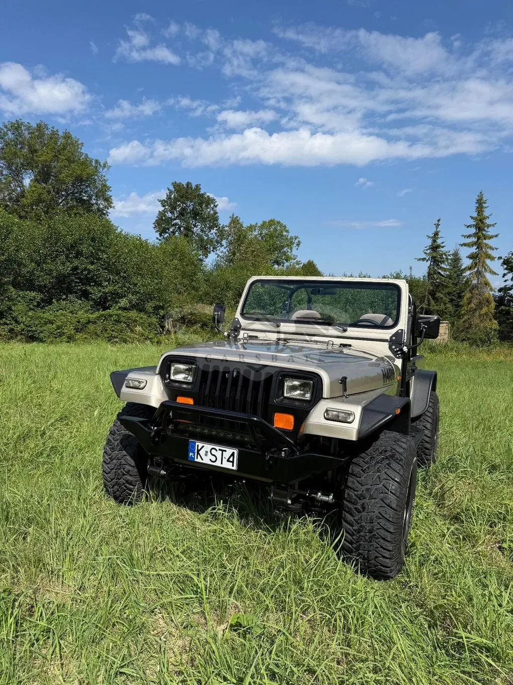 Jeep Wrangler I (1987-1995) 4.0 Sport 1995