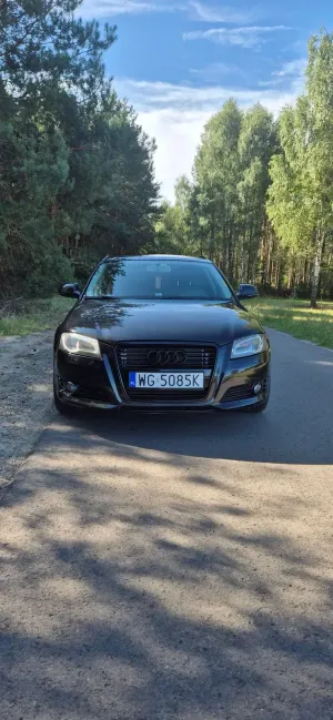 Audi A3 8P (2003-2012) 2.0 TDI DPF quattro Ambition 2009