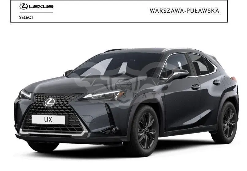 Lexus UX 300h Business 2024