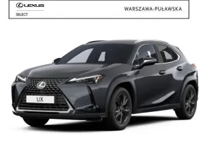 Lexus UX 300h Business 2024