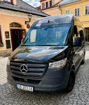 Mercedes-Benz Sprinter 2019
