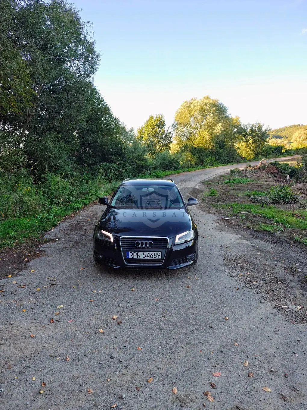 Audi A3 8P (2003-2012) 1.6 TDI DPF Ambition 2010