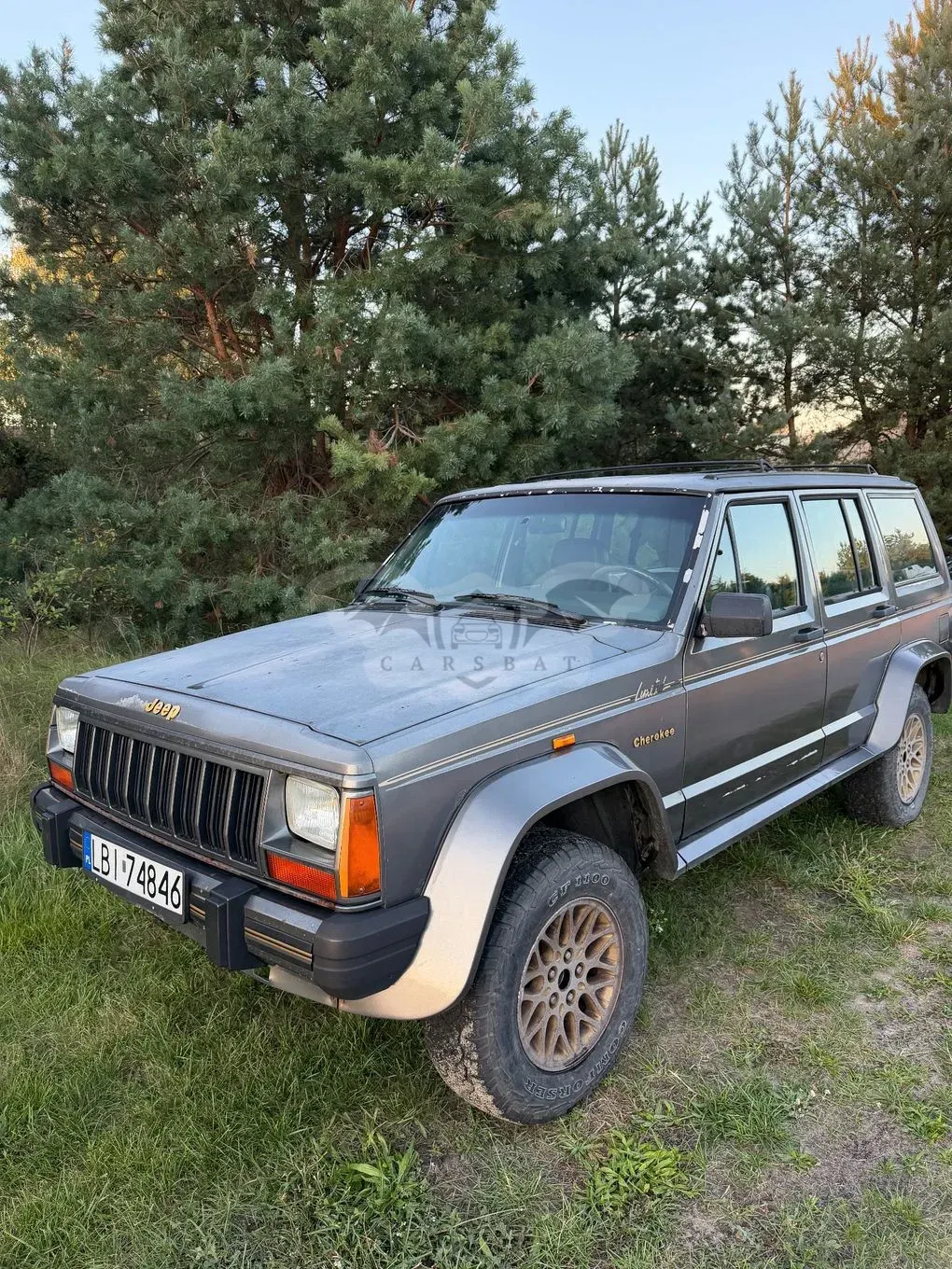 Jeep Cherokee II (1983-2001) 4.0 Limited 1989