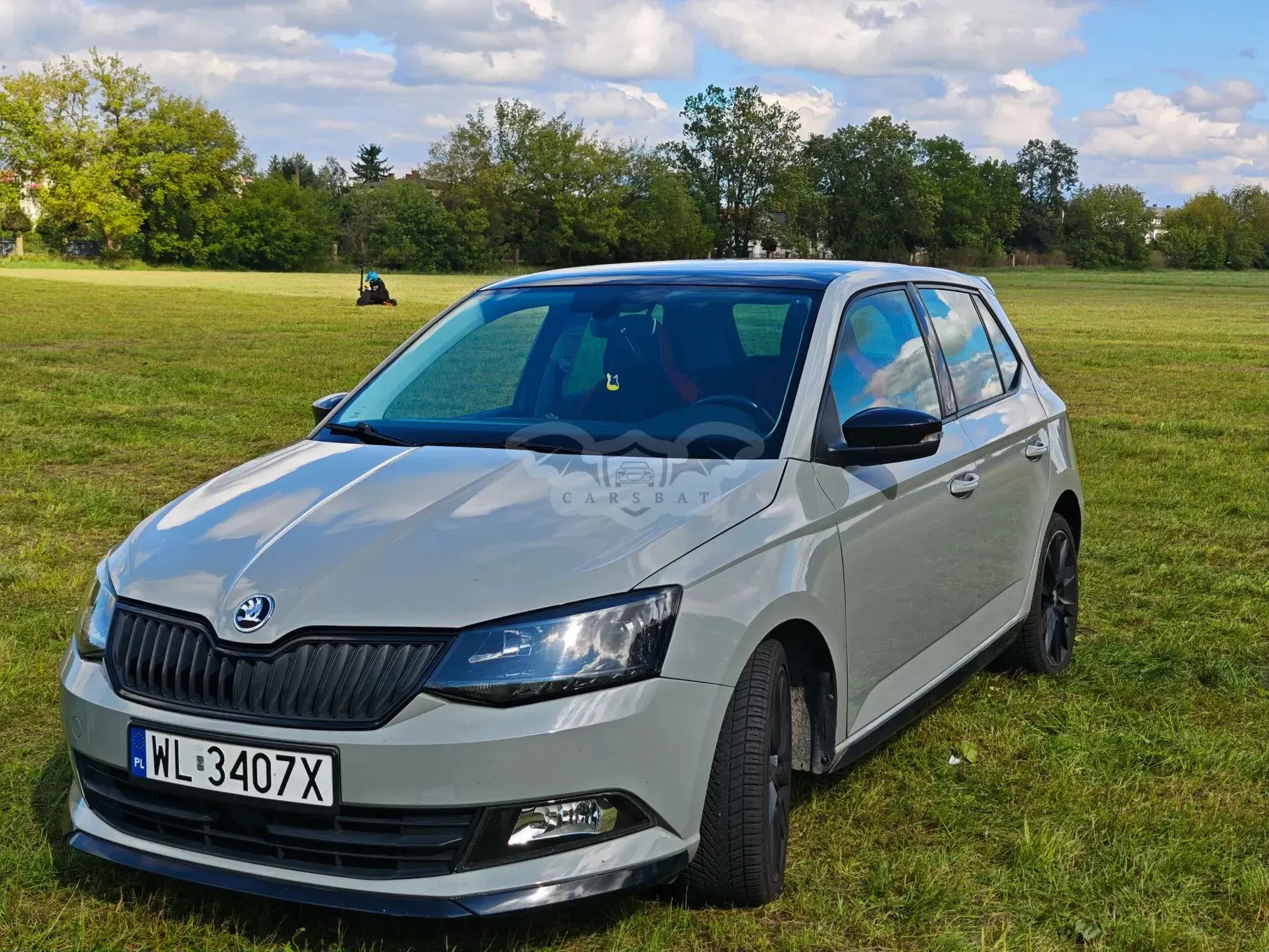 Skoda Fabia III (2014-2021) 2017