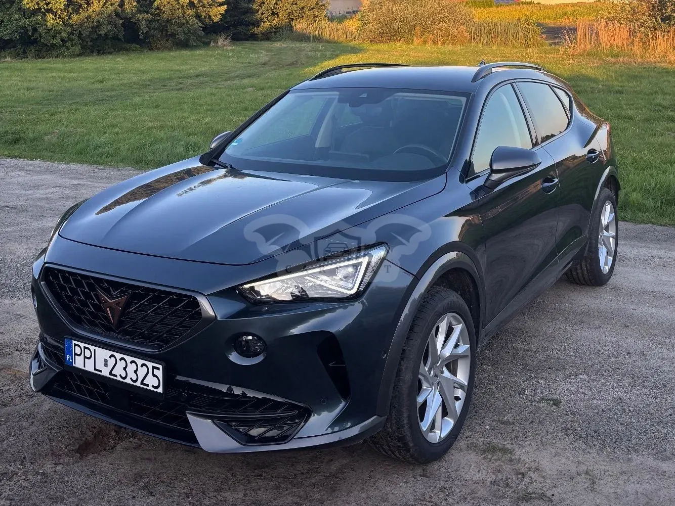 Cupra Formentor 1.5 TSI 2023