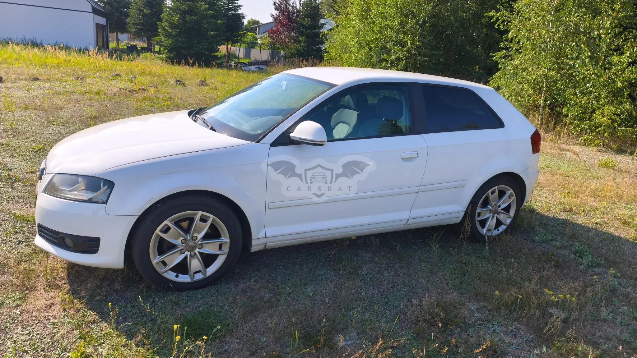 Audi A3 8P (2003-2012) 1.4 TFSI Ambition 2010