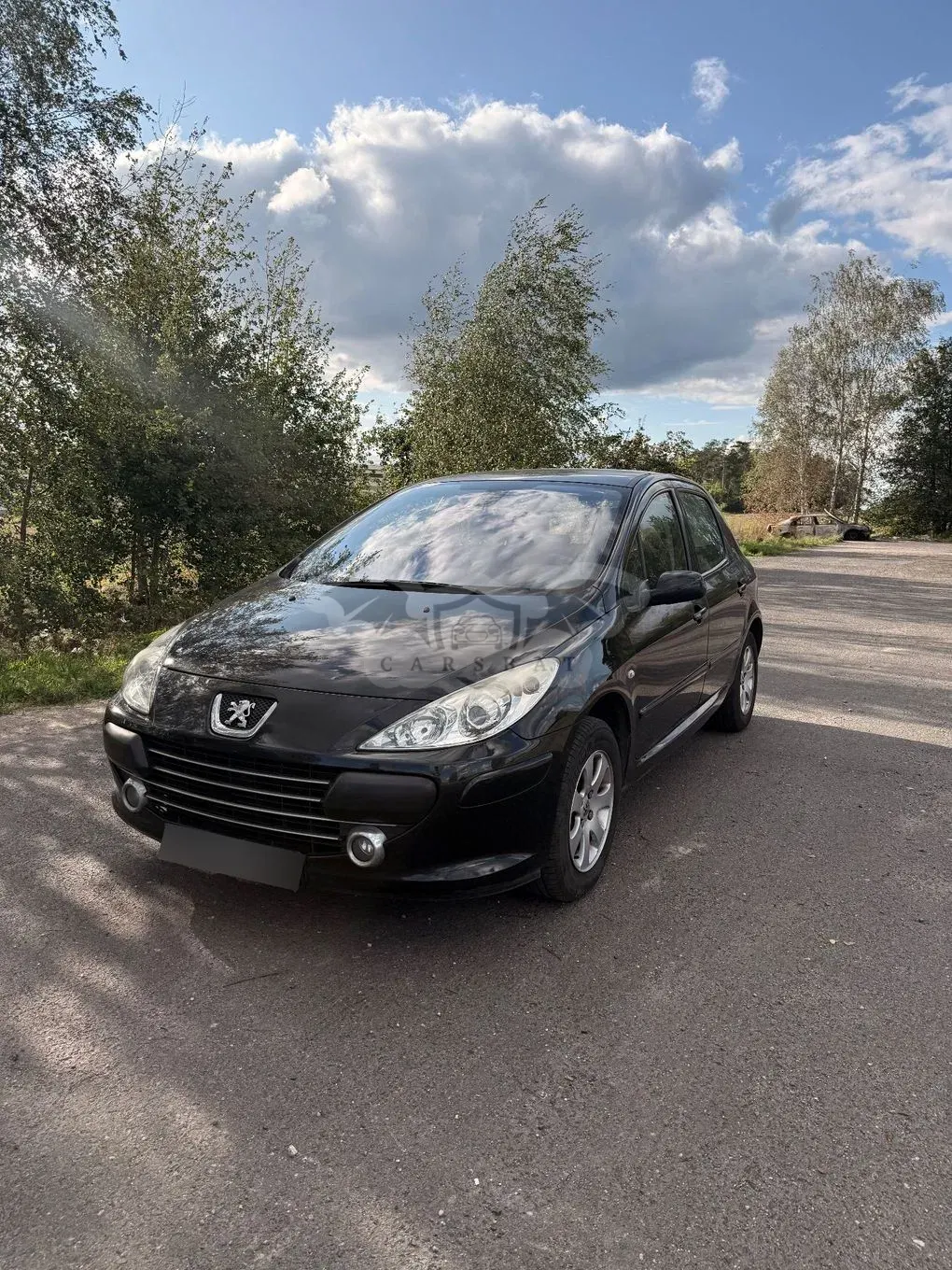 Peugeot 307 II (2005-) 1.6 2007