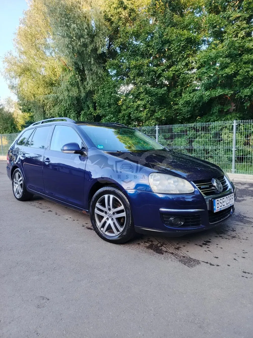 Volkswagen Golf V (2003-2009) 1.9 TDI Trendline 2009