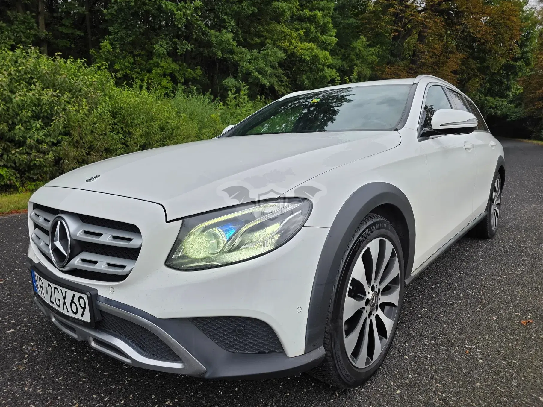 Mercedes-Benz E W213 (2016-2023) 220 d 4-Matic All-Terrain 2018