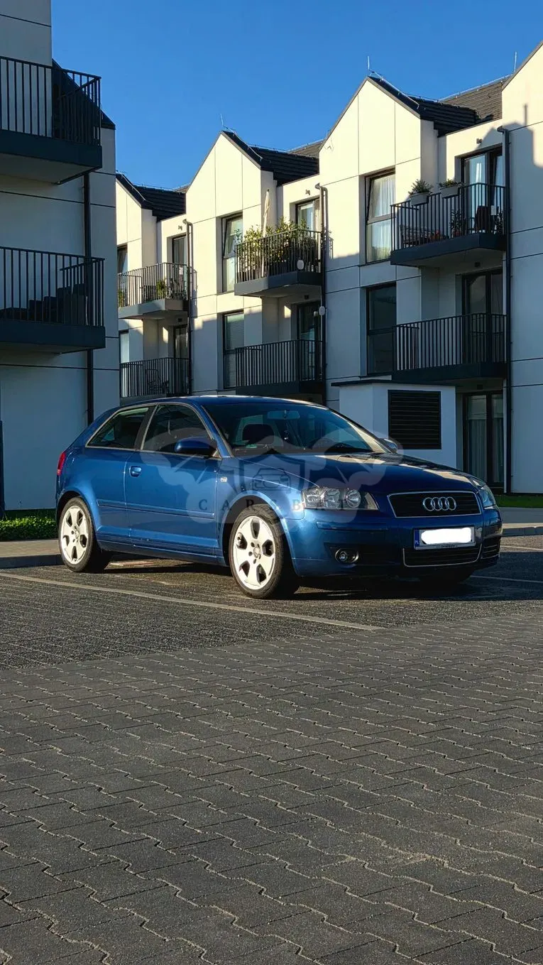 Audi A3 8P (2003-2012) 2.0 FSI Ambiente 2004