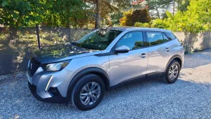 Peugeot 2008 II (2019-) 2020