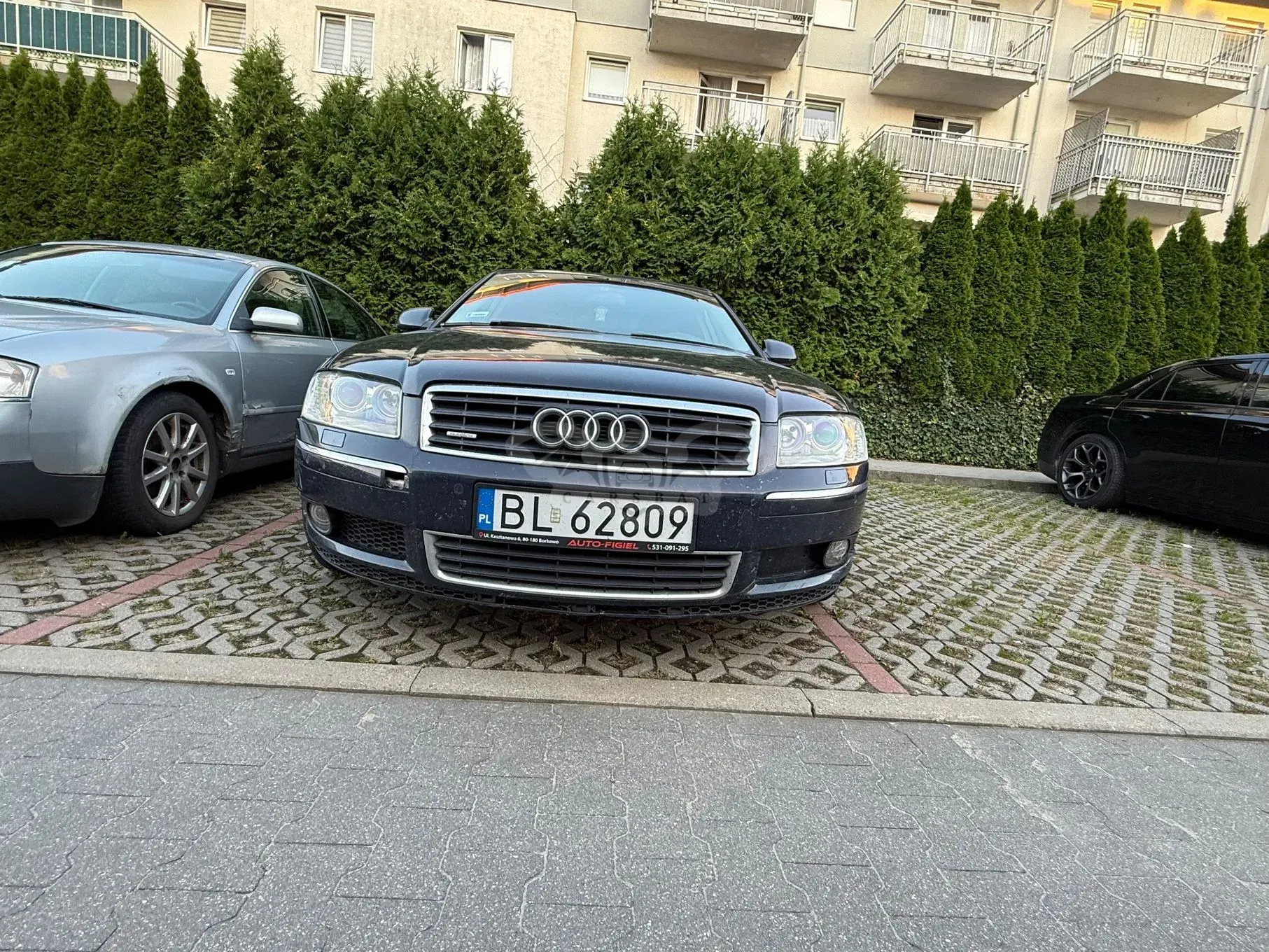 Audi A8 D3 (2002-2010) 3.0 TDI Quattro 2004