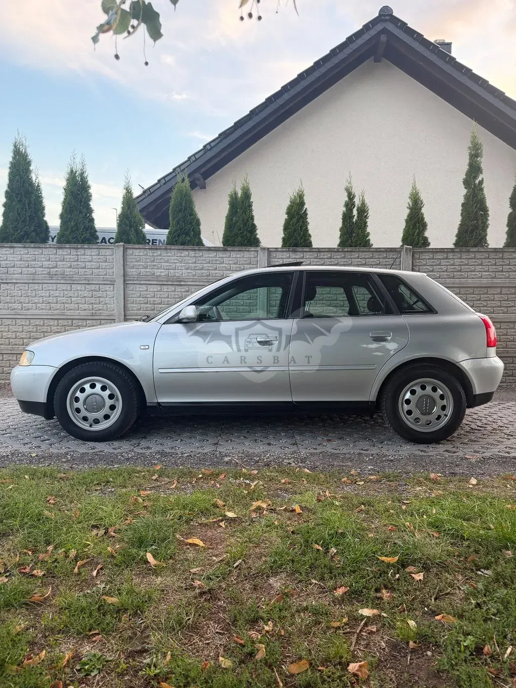 Audi A3 8L (1996-2003) 2001