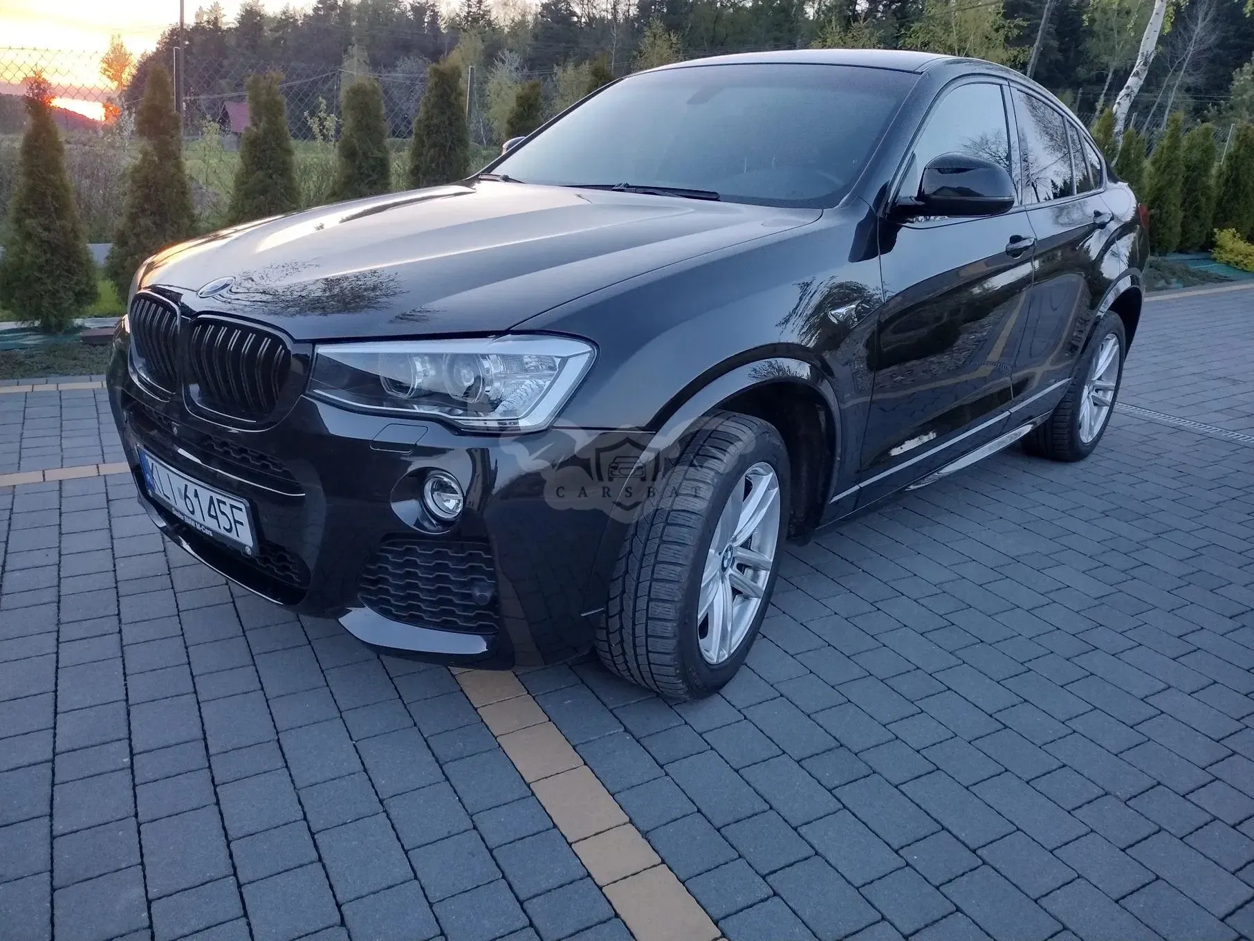 BMW X4 F26 (2014–2018) xDrive20d 2017