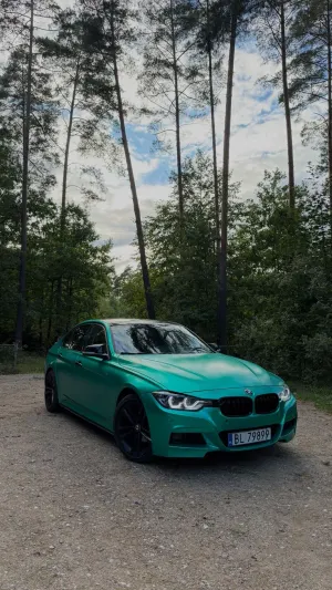 BMW 3 Series F30/F31 (2012-2020) 318d 2013