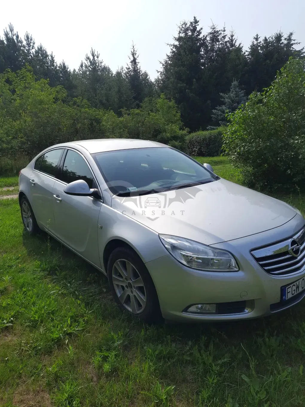 Opel Insignia A (2008-2017) 2009