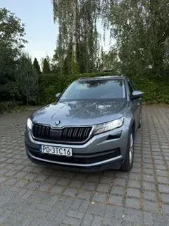 Skoda Kodiaq I (2016-2024) 1.5 TSI ACT 4x2 Ambition DSG 2019