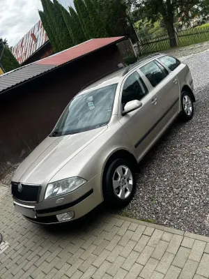 Skoda Octavia II (2004-2013) 1.9 TDI Adventure 4x4 2006