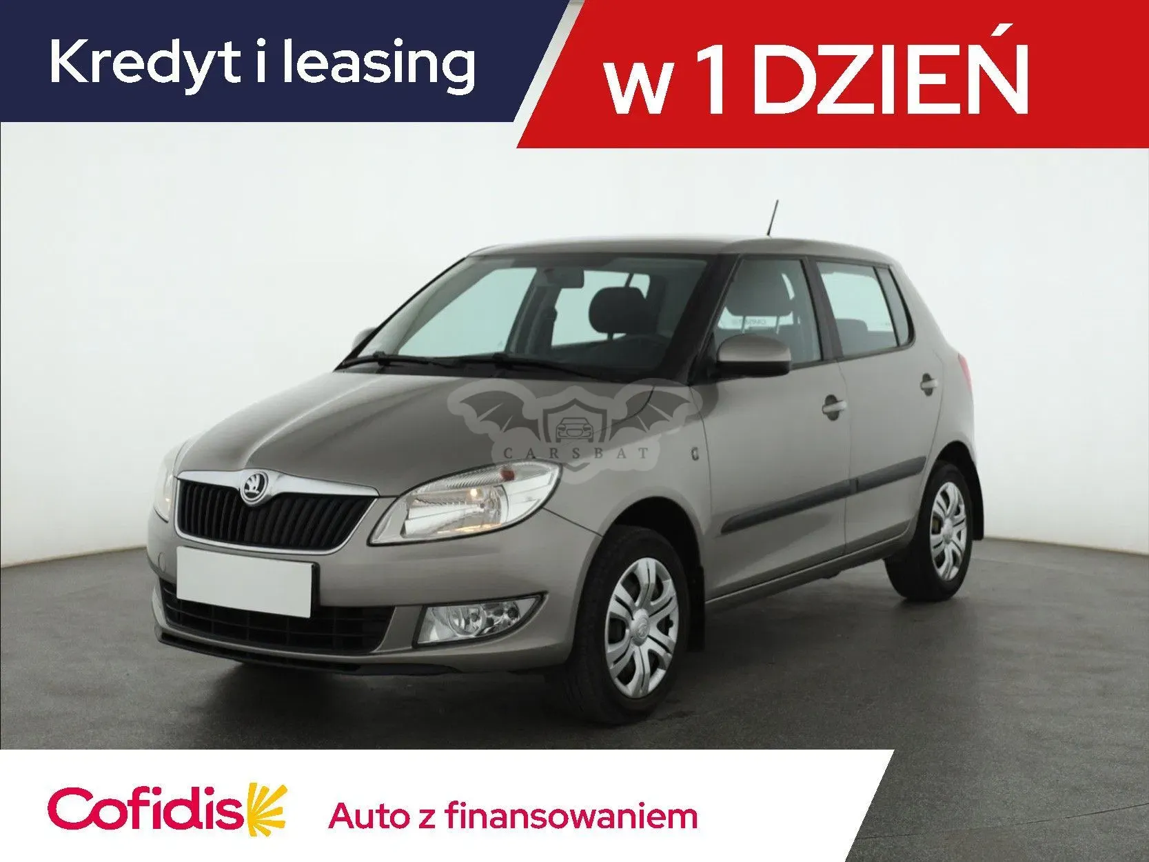 Skoda Fabia II (2007-2014) 2013