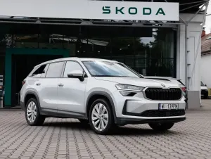 Skoda Kodiaq II (2024-) 2.0 TDI 4x4 Selection DSG 2024