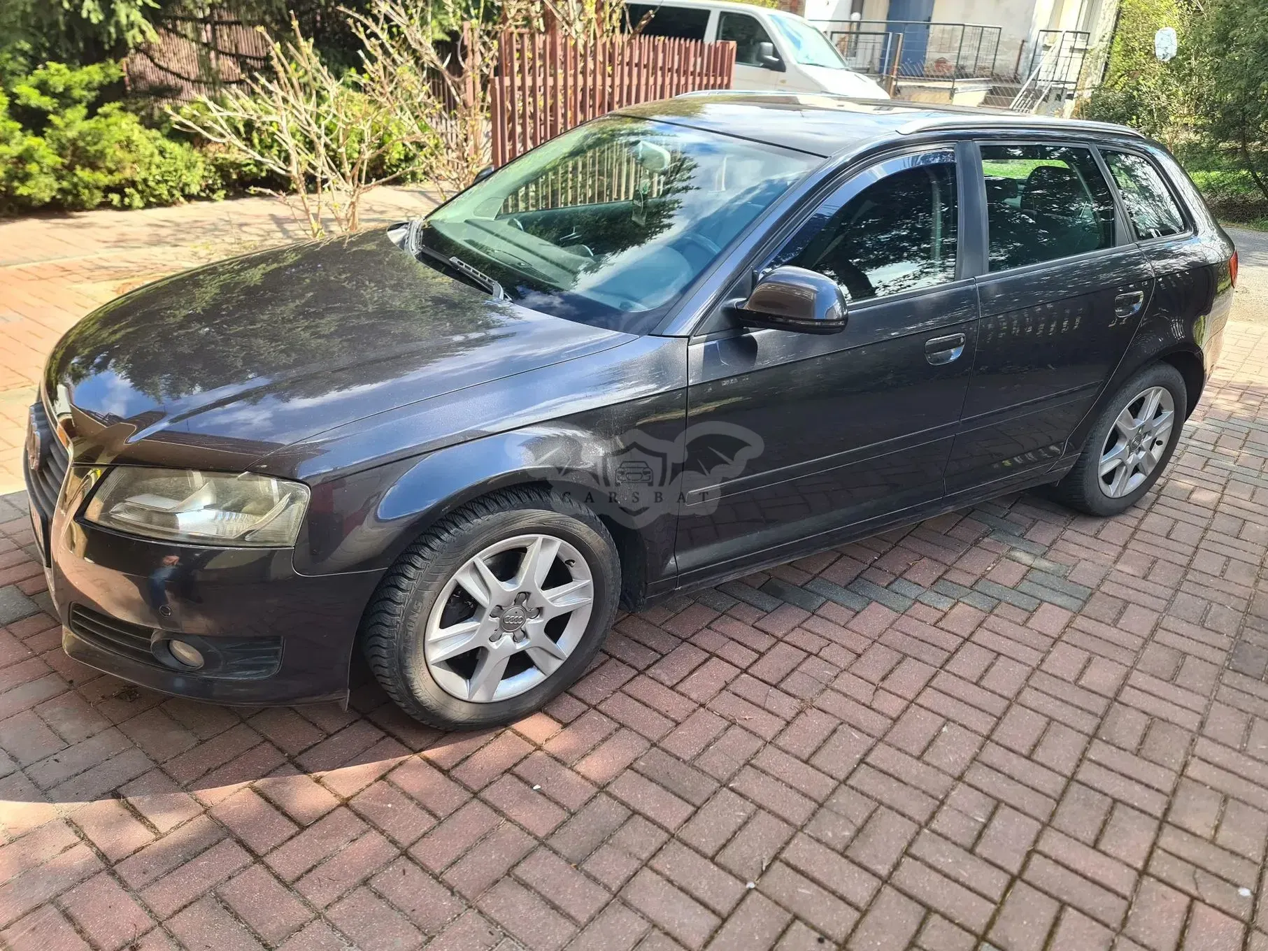 Audi A3 8P (2003-2012) 2009