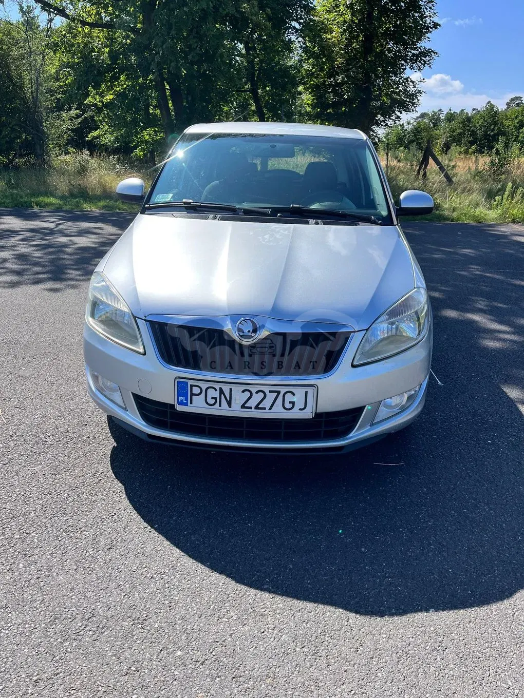 Skoda Fabia II (2007-2014) 1.6 TDI DPF Ambition 2013
