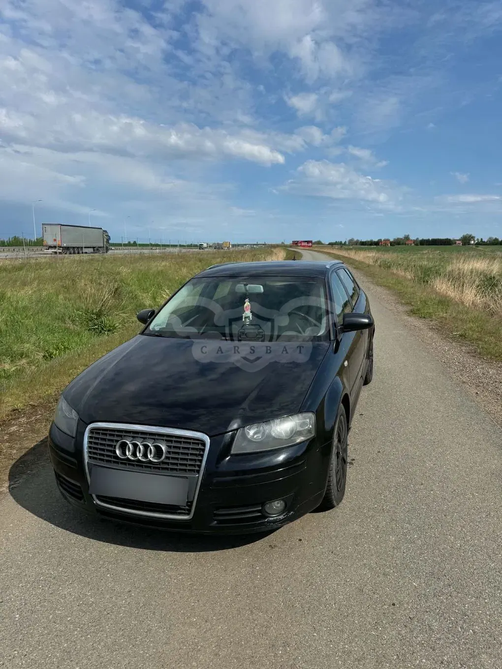 Audi A3 8P (2003-2012) 2007