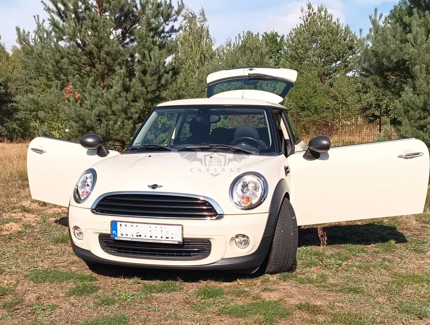 Mini One 2013
