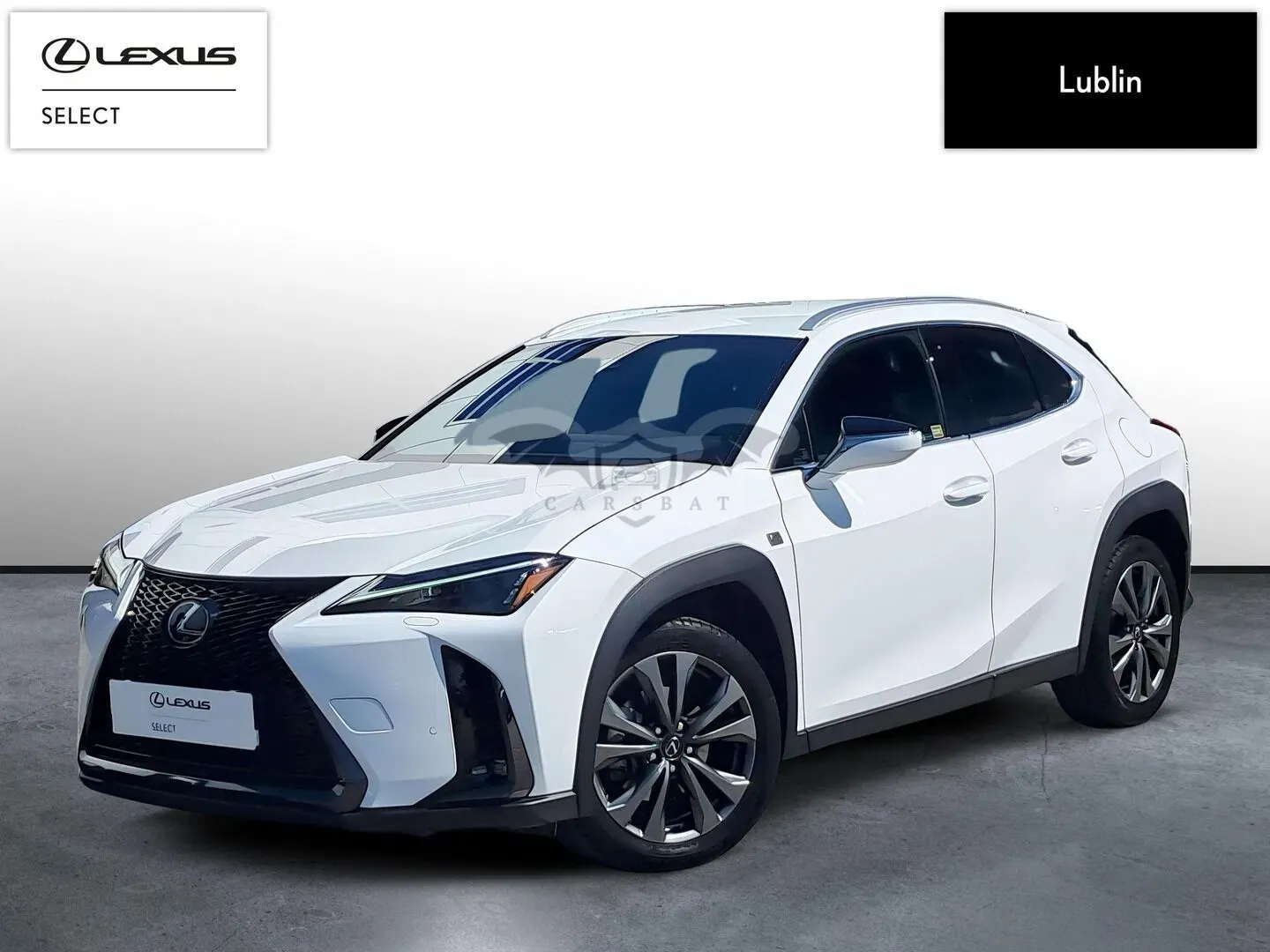 Lexus UX 300h F Sport Design AWD 2024