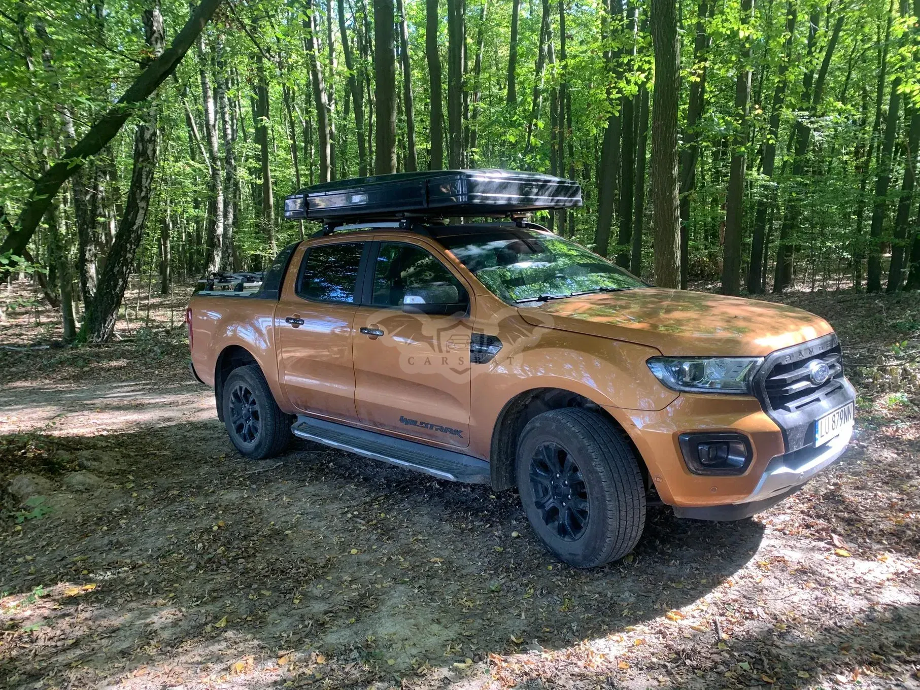 Ford Ranger 2.0 EcoBlue 4x4 DC Wildtrak 2022