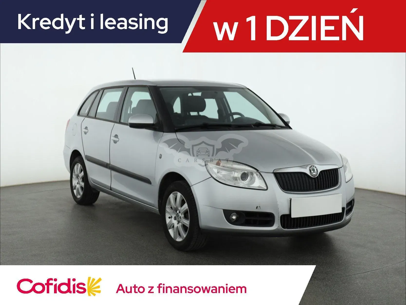 Skoda Fabia II (2007-2014) 2010