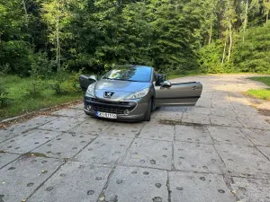 Peugeot 207 2007