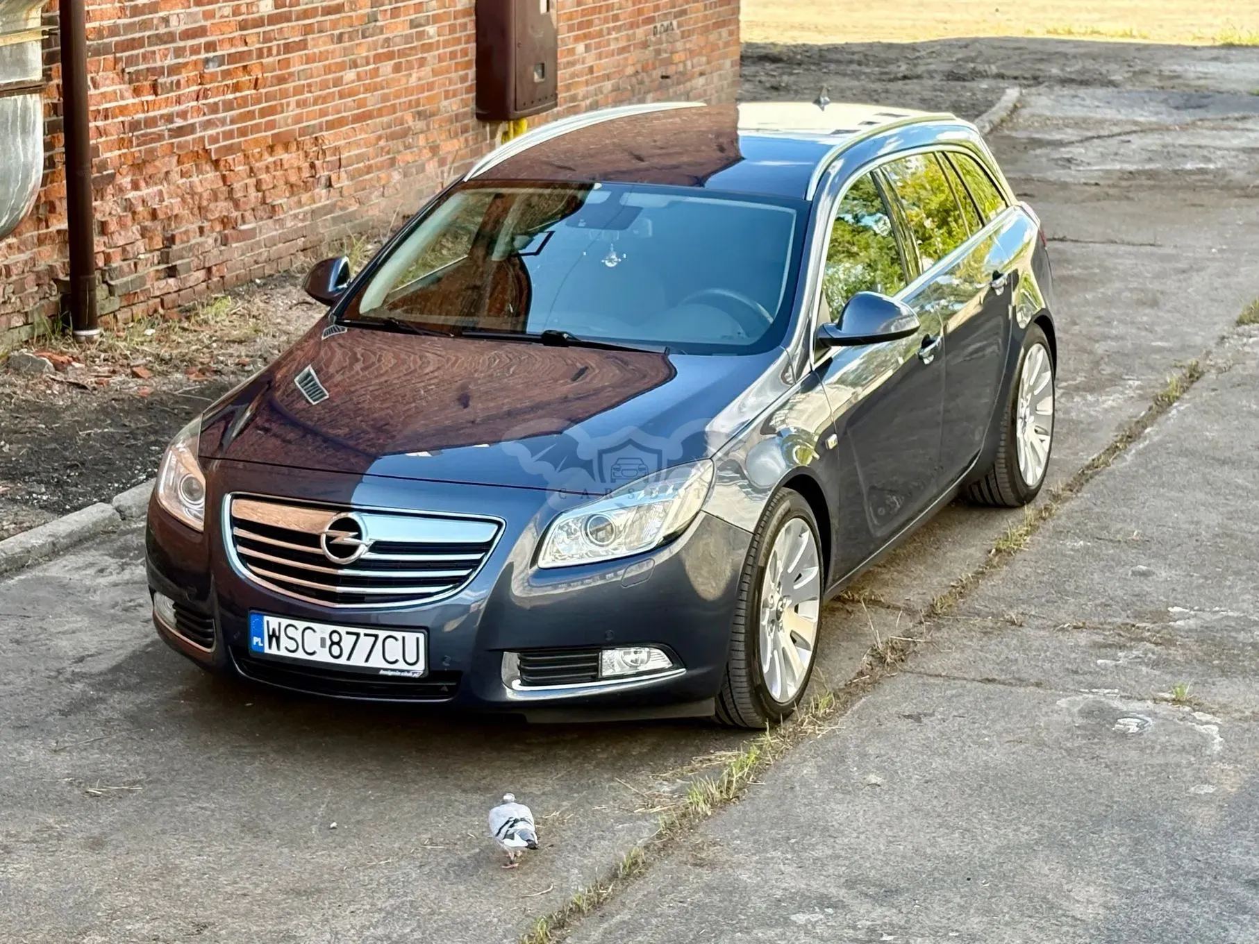 Opel Insignia A (2008-2017) 1.6 T Sport 2009