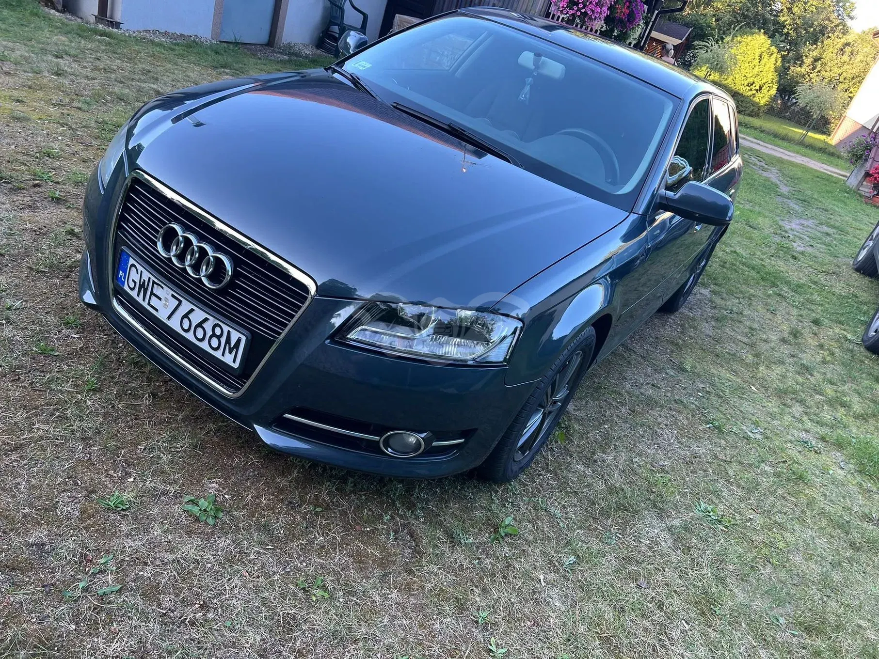 Audi A3 8P (2003-2012) 2011