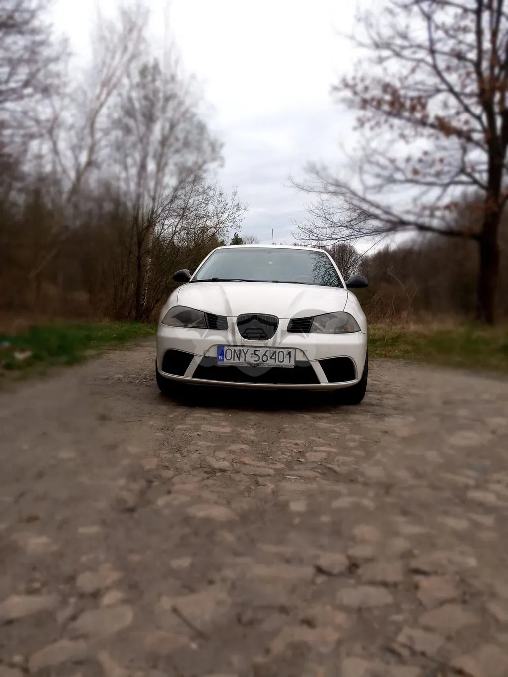 Seat Ibiza IV (2008-2017) SC 1.2 12V Entry 2009