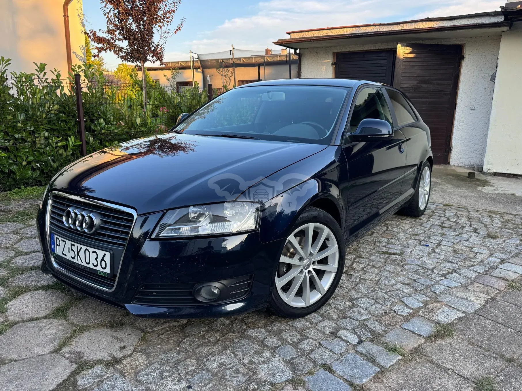 Audi A3 8P (2003-2012) 2009