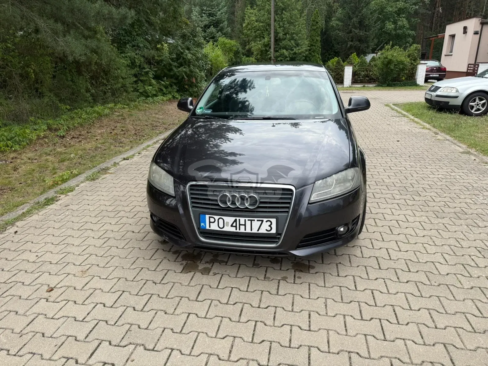 Audi A3 8P (2003-2012) 1.9 TDI DPF Ambition 2008