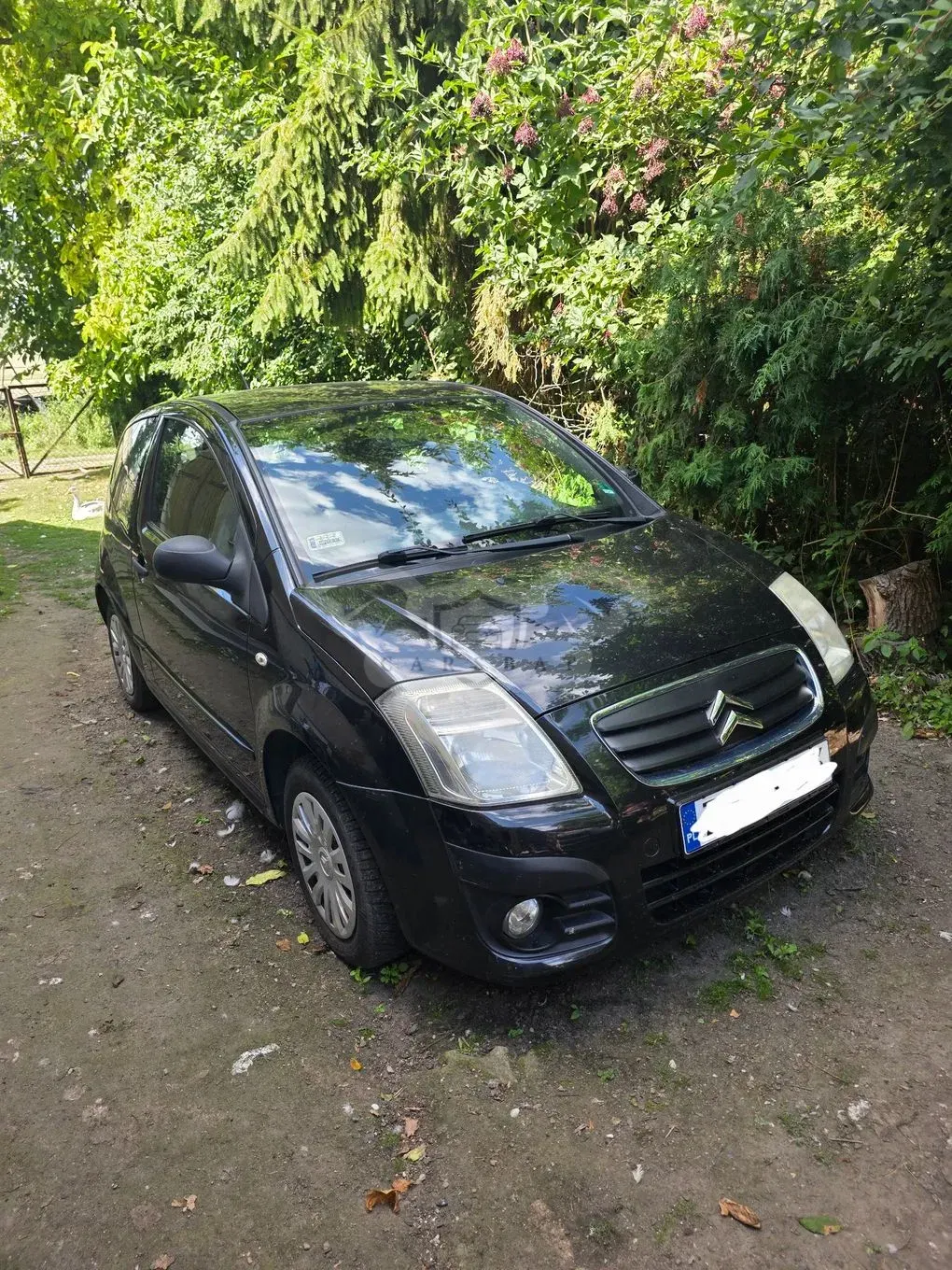 Citroën C2 1.1 X 2009