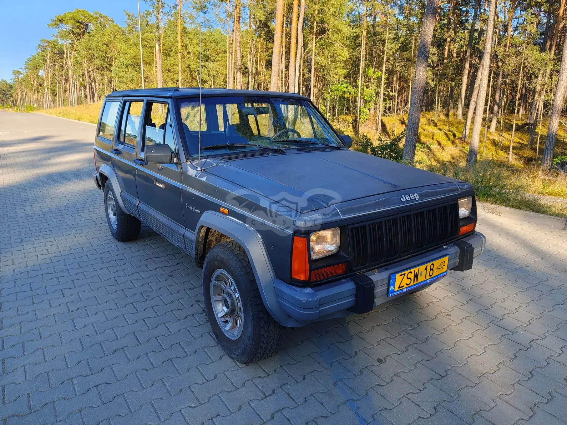 Jeep Cherokee II (1983-2001) 4.0 Country 1990