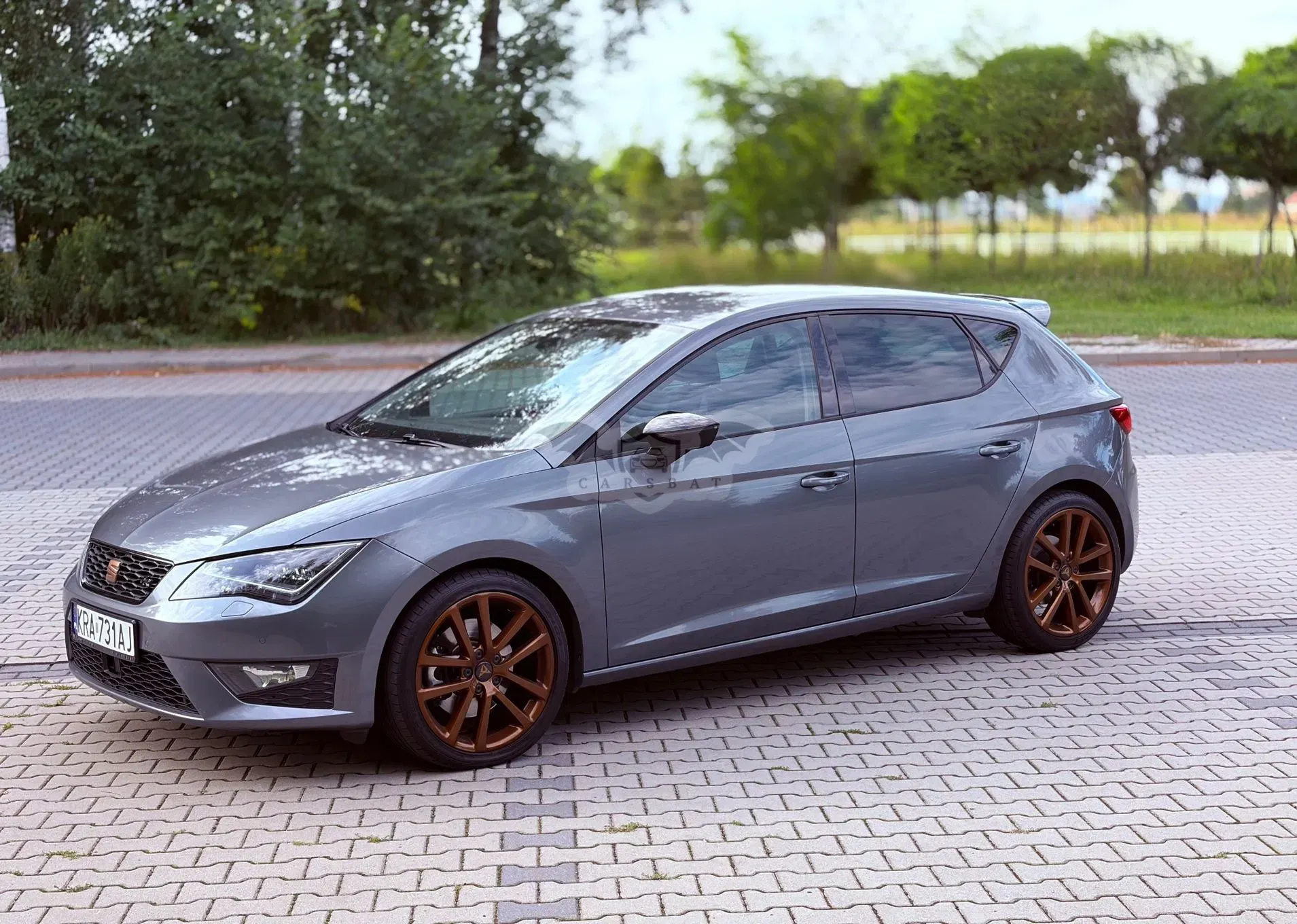 Seat Leon III (2012-) 2.0 TDI FR S&S DSG 2014