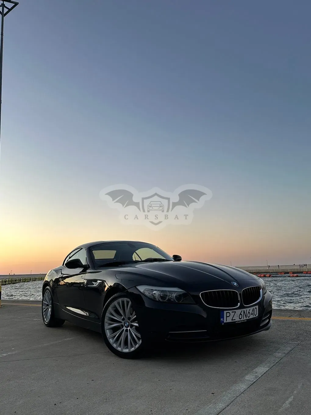 BMW Z4 E89 (2009–2016) sDrive20i 2013