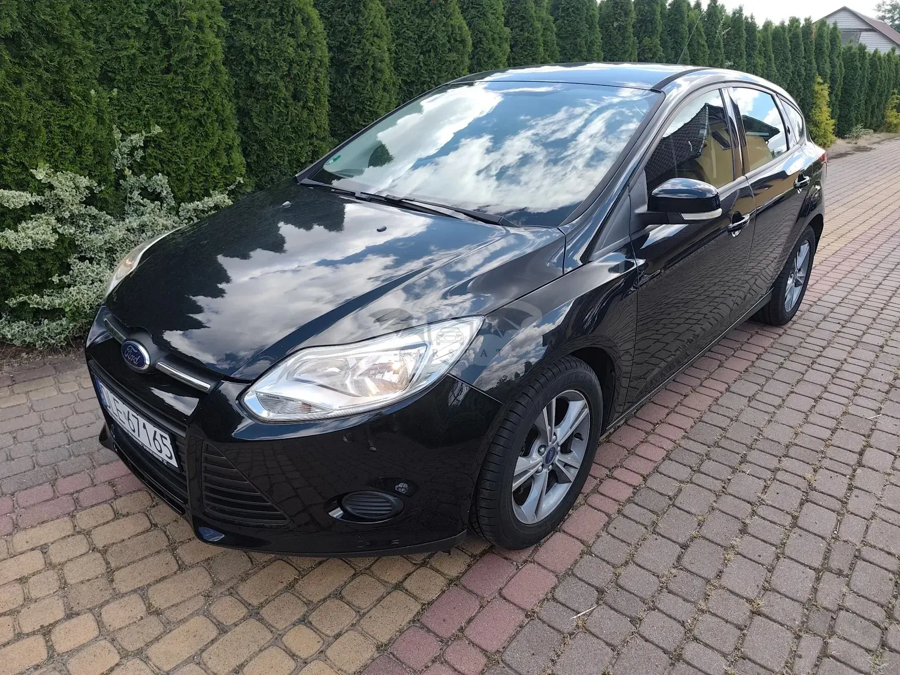 Ford Focus Mk3 (2010-2018) 1.0 EcoBoost Start-Stopp-System SYNC Edition 2013