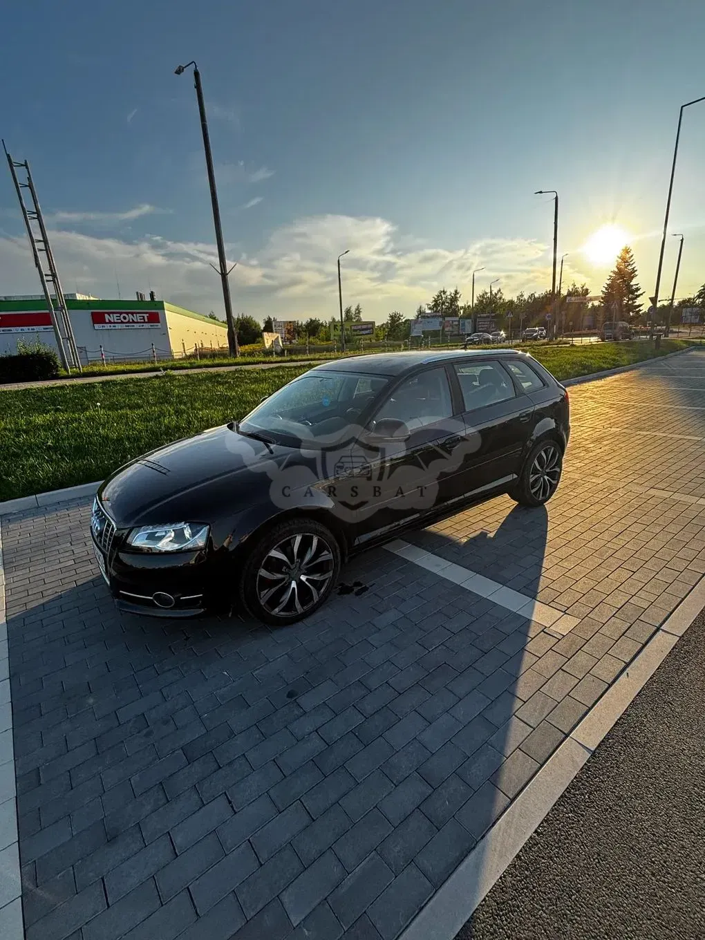 Audi A3 8P (2003-2012) 2009