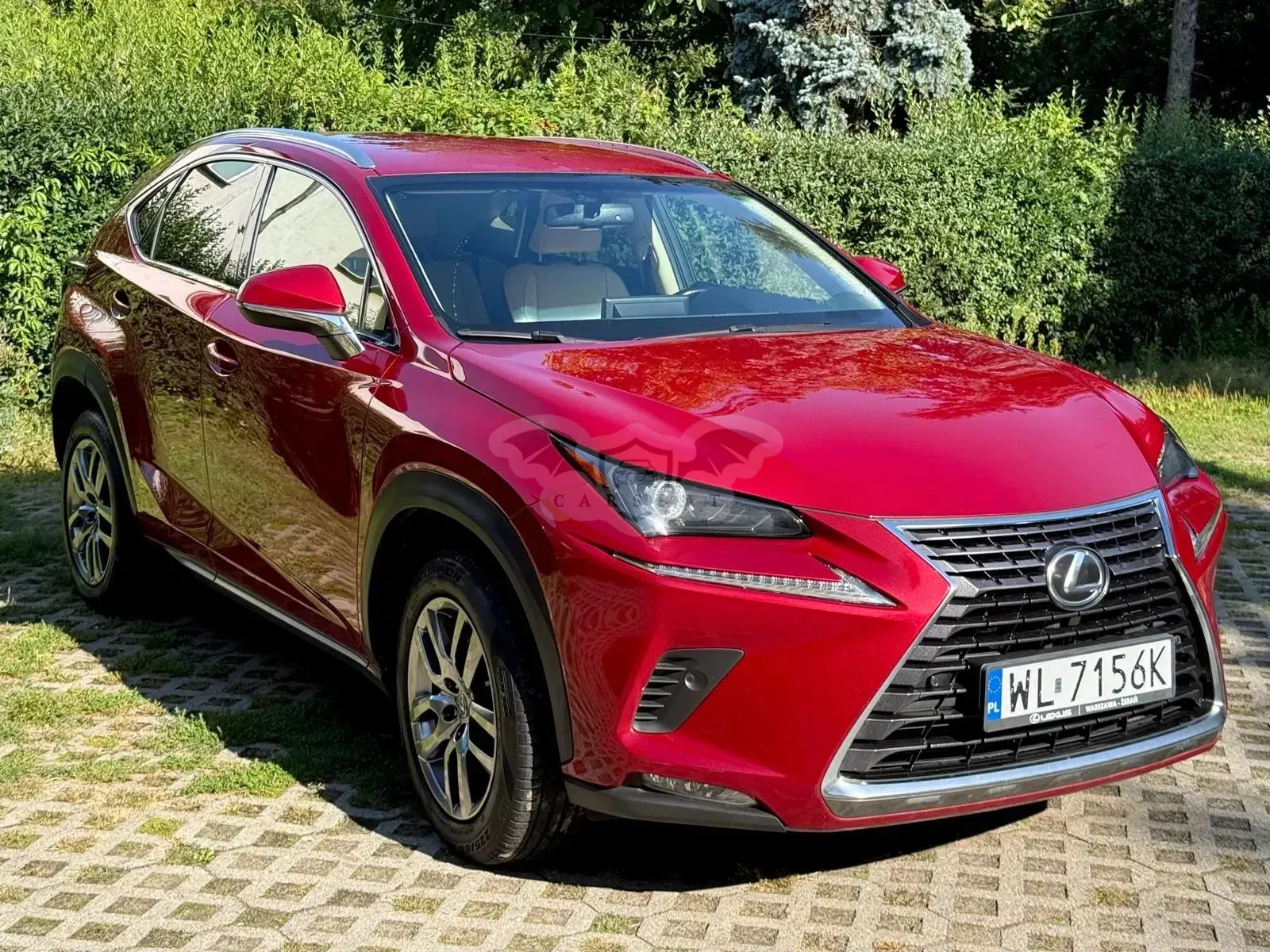Lexus NX I (2014-2021) 300 Comfort AWD 2017