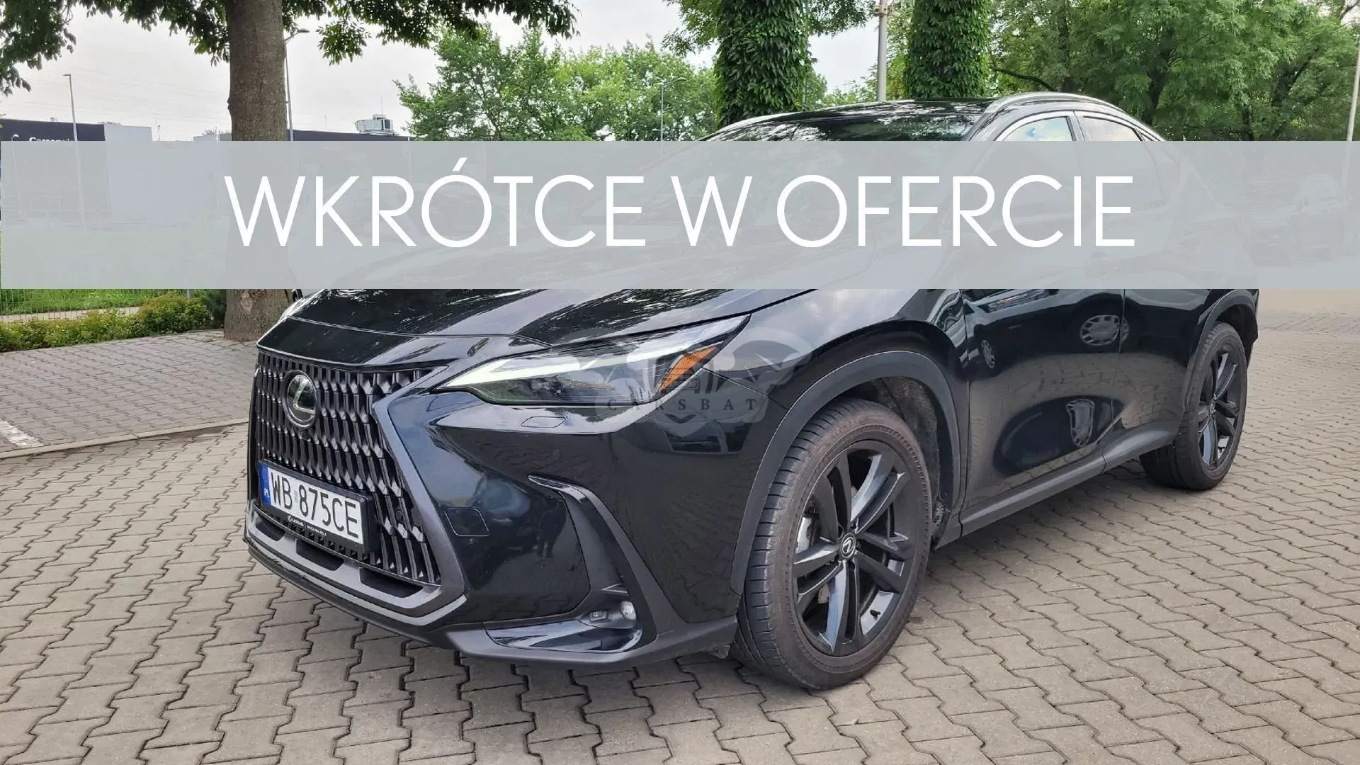 Lexus NX II (2021-) 350h Prestige AWD 2024