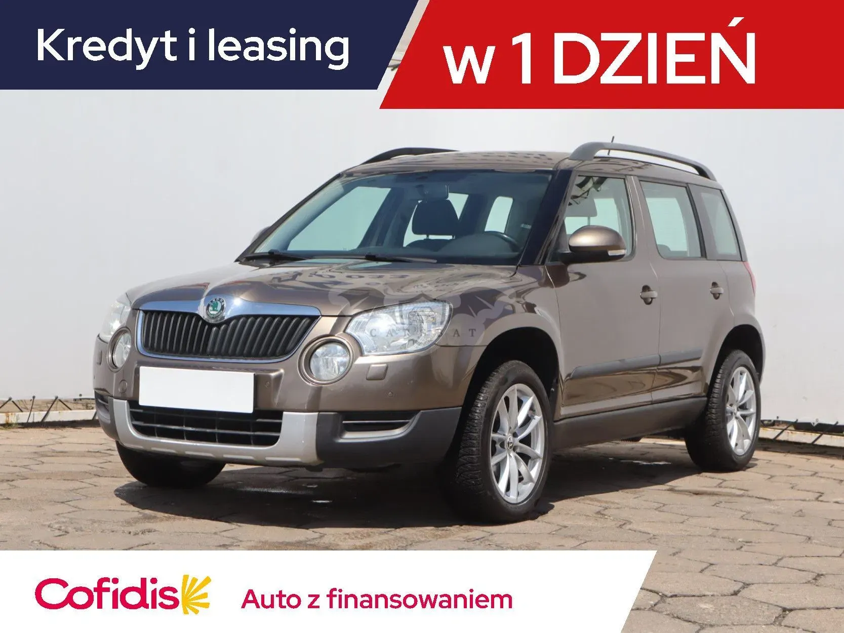 Skoda Yeti 2010