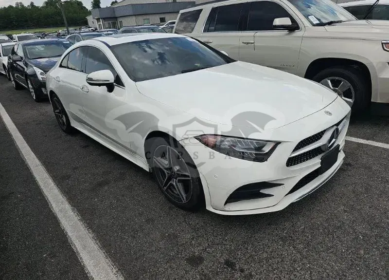 Mercedes-Benz CLS C257 (2018-) 450 4Matic 9G-TRONIC 2019